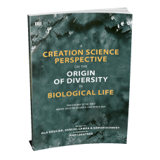 A Creation Science Perspective on the Origin of Diversity in Biological Life