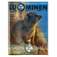 Luominen-lehti numero 56