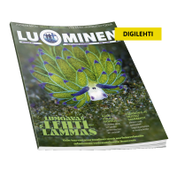 Luominen-digilehti numero 58