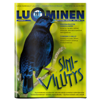 Luominen-lehti numero 61