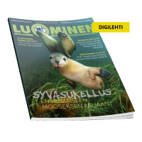 Luominen-digilehti numero 62 Luominen-digilehti numero 62
