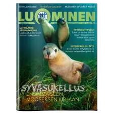 Luominen-lehti numero 62